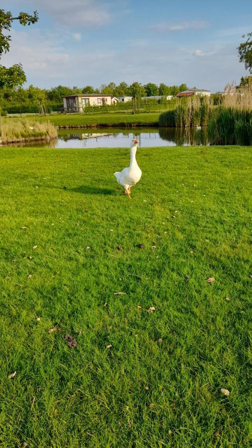 'T Groentje Baarland Esterno foto